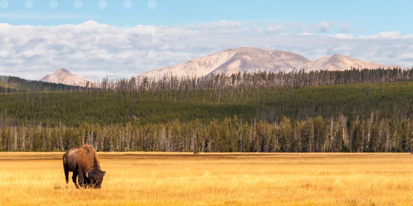 National park could mean Galloway loses half a billion pounds