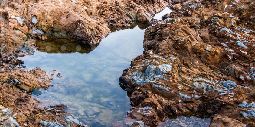 Water sector heading down the plug hole