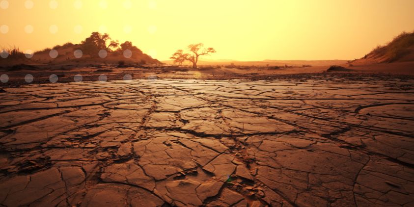 UN drought report offers grim picture