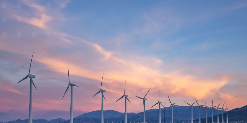 Dogger will bank us £6 billion!