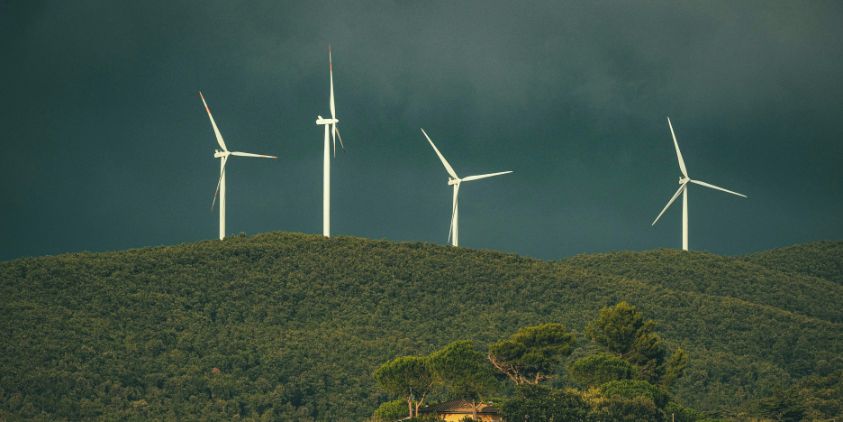 Windfarms could cover 11% of the North Sea by 2050 predicts study