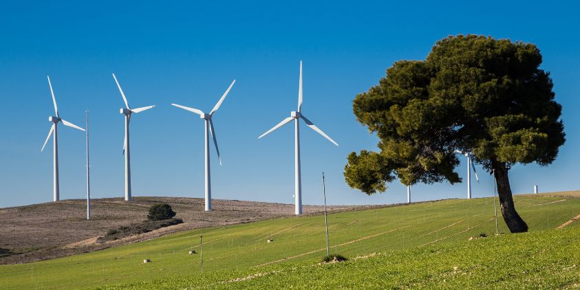 Give community energy schemes priority and a share of profits