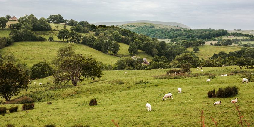 Britain’s farmland natural capital valued at £237bn